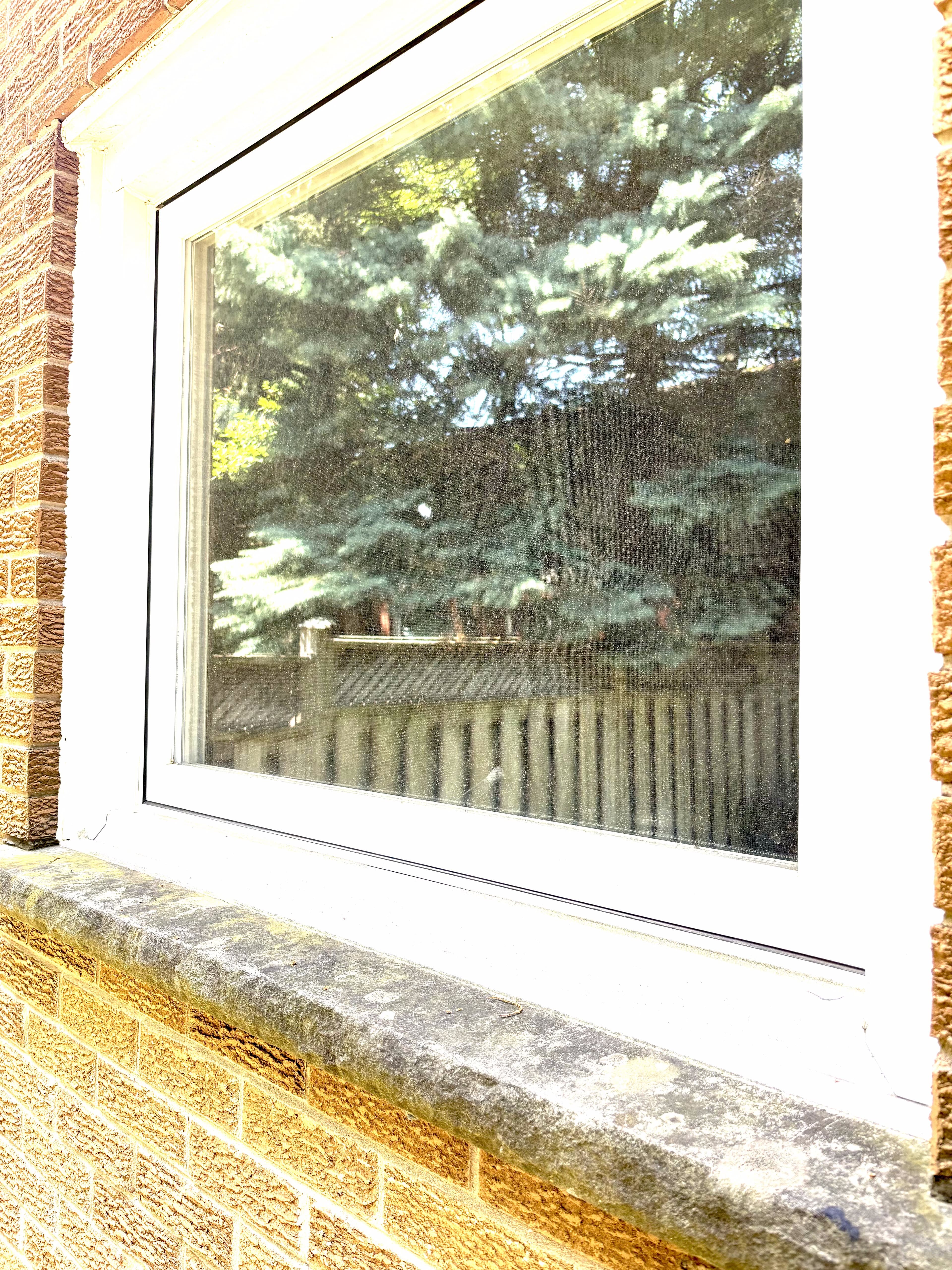 Streak-free window reflecting the garden