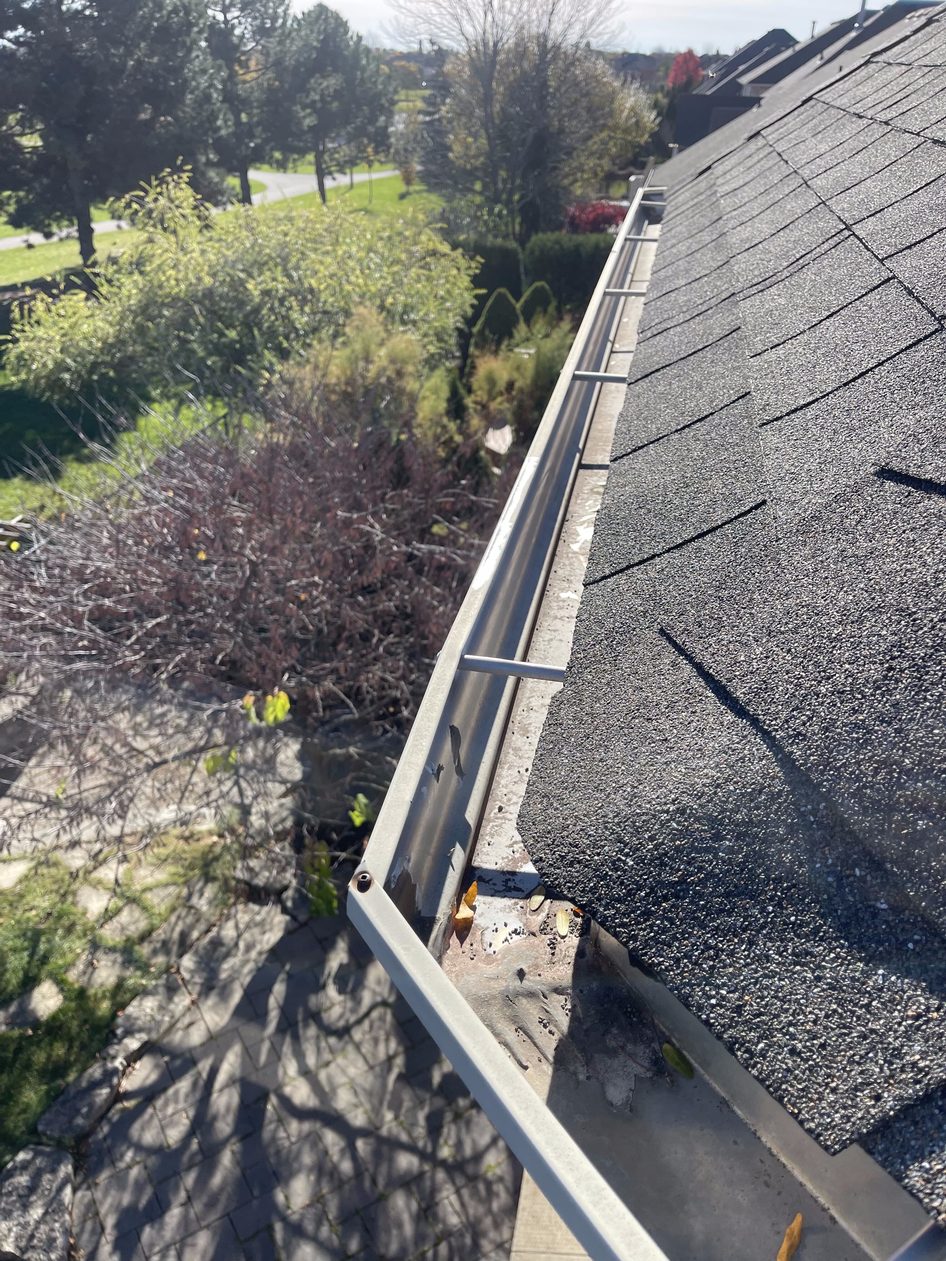 Clear gutters overlooking autumn trees